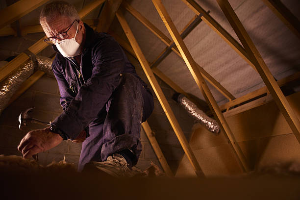 Best Geographic-Specific Insulation Services in Hobe Sound, FL